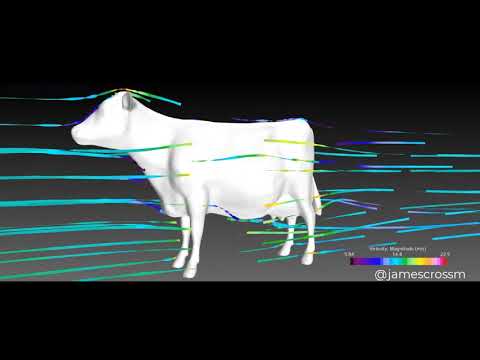 Aerodinámica de una vaca