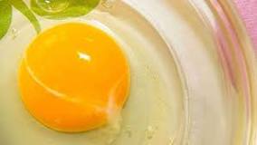 puntos blancos dentro del huevo
