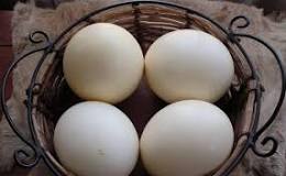 precio de huevo de avestruz