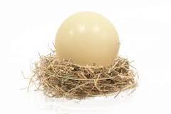 huevo de avestruz