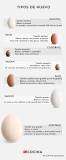 huevo de avestruz