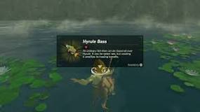 ¿Qué se puede realizar con el ámbar en Zelda Breath of the Wild?