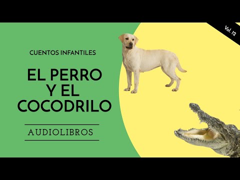 Los Extremos de Fondo y Forma: El Perro y el Cocodrilo - Incorruptible