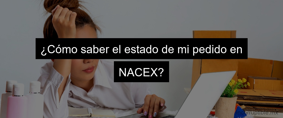 ¿Cómo saber el estado de mi pedido en NACEX?