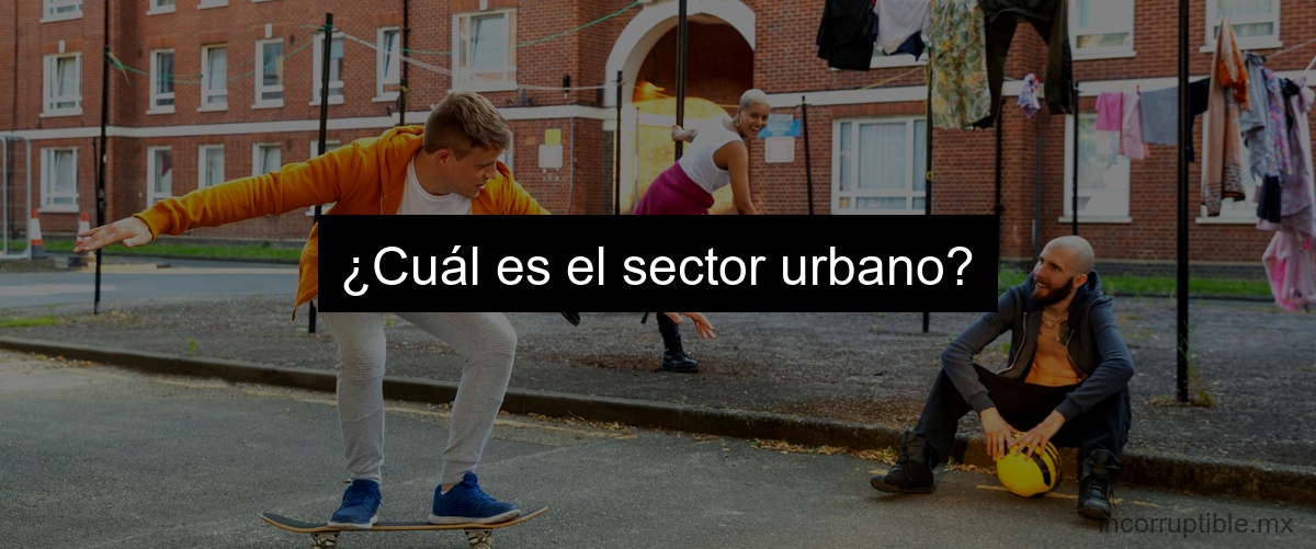 ¿Cuál es el sector urbano?