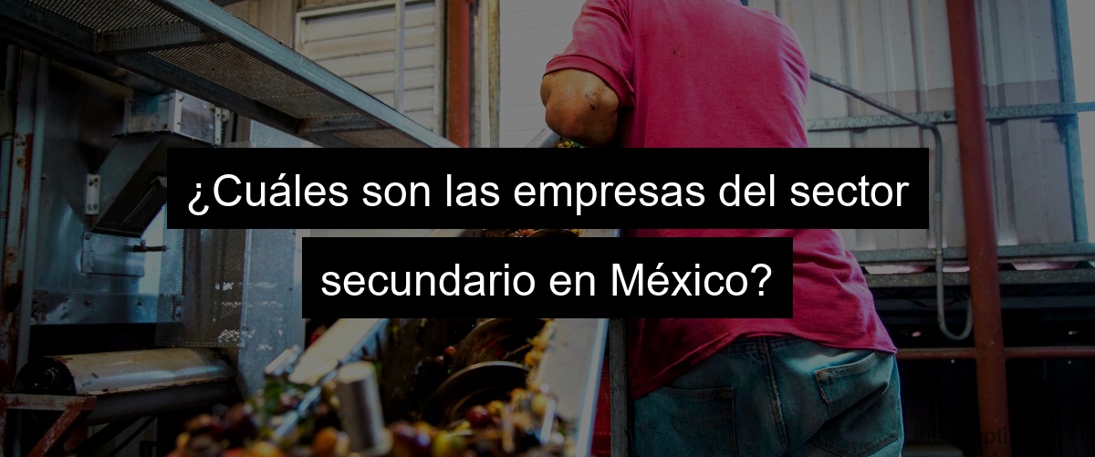 ¿Cuáles son las empresas del sector secundario en México?