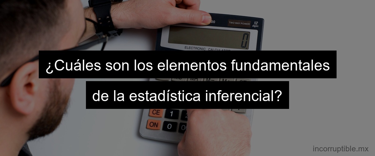 ¿Cuáles son los elementos fundamentales de la estadística inferencial?