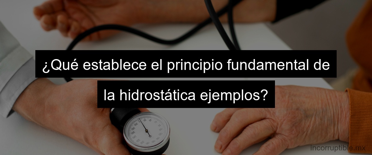 ¿Qué establece el principio fundamental de la hidrostática ejemplos?