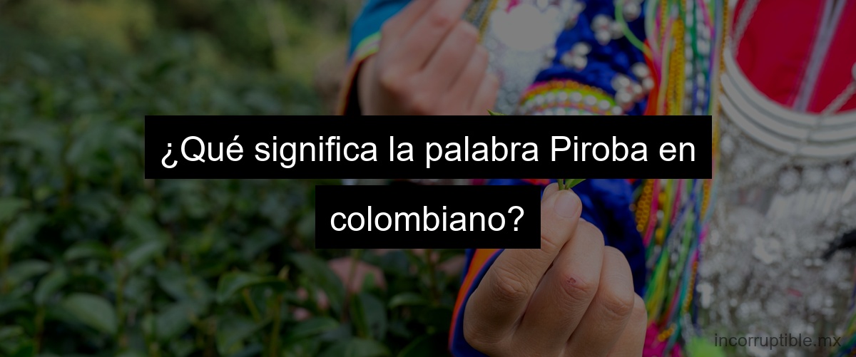 ¿Qué significa la palabra Piroba en colombiano?