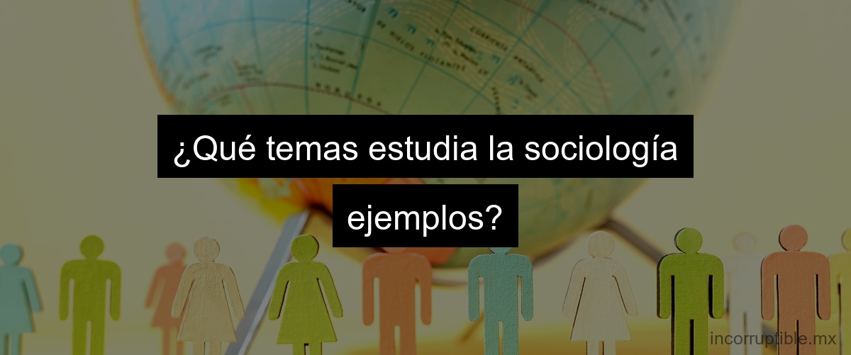 ¿Qué temas estudia la sociología ejemplos?