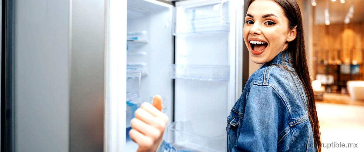 ¿A qué temperatura debe estar el frigorífico y el congelador?